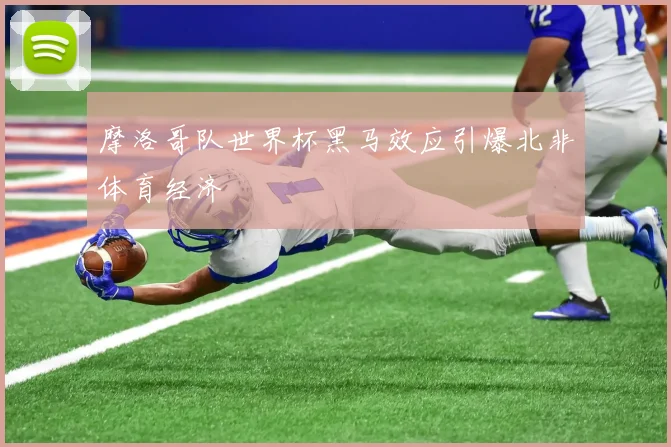 摩洛哥队世界杯黑马效应引爆北非体育经济