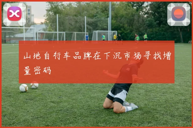 山地自行车品牌在下沉市场寻找增量密码