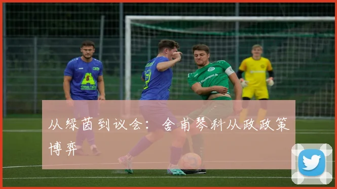 从绿茵到议会：舍甫琴科从政政策博弈