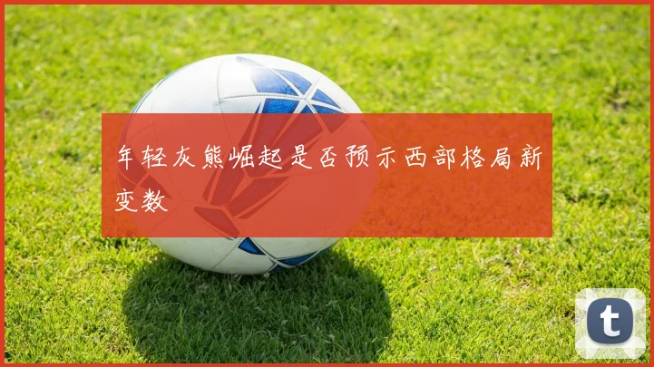 年轻灰熊崛起是否预示西部格局新变数